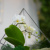Готовый флорариум с белой орхидеей Капля