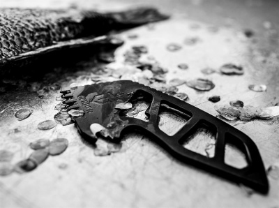 Мультитул для чистки и разделки рыбы Gerber Gutsy черный 30-001420DIP