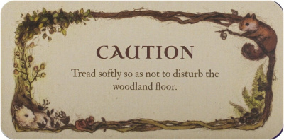 Карты Таро: "Whispering Wood Inspiration Cards"