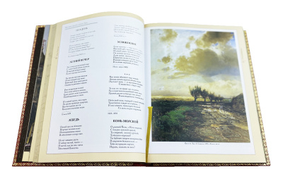 Книга Ваш Тютчев (в футляре)
