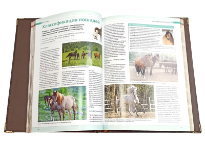 Книга Лошади. Новая энциклопедия (в коробе)