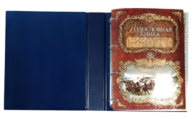 Родословная книга «Художественная», синяя с гербом, кожзам