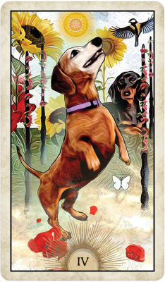 Карты Таро: "Wise Dog Tarot"