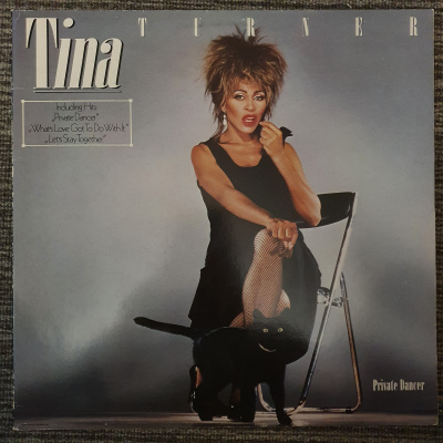Виниловая пластинка Tina Turner, Тина Тёрнер; Private Dancerбу