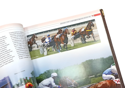 Книга Лошади. Новая энциклопедия (в коробе)