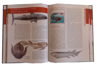 Книга Доисторическая жизнь