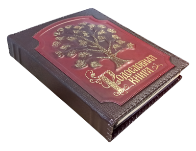 Родословная книга "Изысканная" с золоченым древом в оплетке, кожа