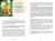 Карты Таро "The Westwood Tarot Cards" Schiffer Publishing / Карты Таро Вествуда