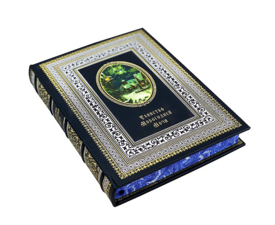 Книга Таинство новогодней ночи