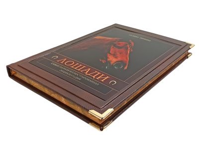 Книга Лошади. Новая энциклопедия (в коробе)