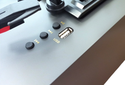 Виниловый проигрыватель "Ton Audio" с черной металлической трубой, FM/BT/USB