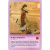 Карты Таро: "Wisdom of Tao Oracle Cards. Volume II - Strategy"