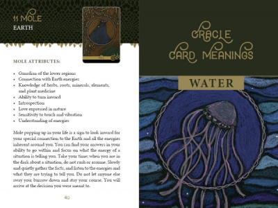 Карты таро. "The Wild Elemental Oracle" / Оракул дикой стихии, RED Feather