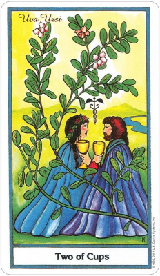Карты Таро: "Herbal Tarot Deck"