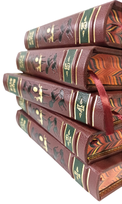 Книга Книга Илья Ильф и Евгений Петров. Собрание сочинений (в 5-ти томах)