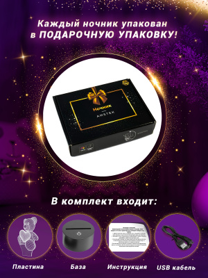 3D ночник Влюбленные на луне