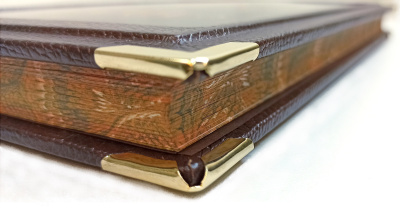 Книга Лошади. Новая энциклопедия (в коробе)