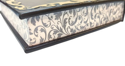 Книга Достоевский. Бесы