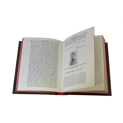 Книга Красная книга ВЧК (в 2-х томах)