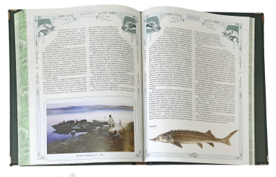 Книга Большая книга русской рыбалки. Леонид Сабанеев (в коробе)