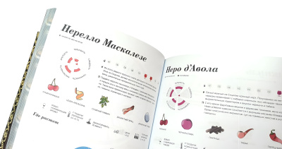 Книга Вино. Путеводитель. С бокалом и штопором. Подарочный набор Книга Вино. Путеводитель. С бокалом и штопором. Подарочный набор