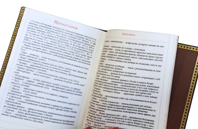 Книга Домострой. Подарочный набор с иконой Книга Домострой. Подарочный набор с иконой