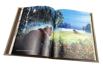 Книга Охота на медведя