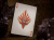 Карты "Theory11 Sembras Playing Cards"