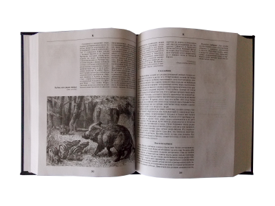 Книга Сабанеев: Русская охота, арт.104502