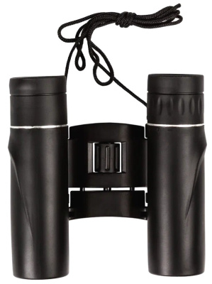 Бинокль PRAKTICA Falcon 10x25, черный