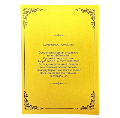 Книга Подарочный набор с плакеткой ВВП (на китайском языке) BG0502K1
