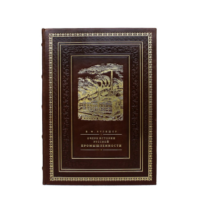 Книга Очерк по истории русской промышленности