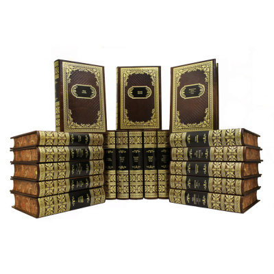 Книга Библиотека русской классики (в 100 томах)