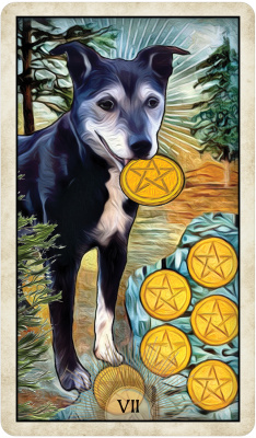 Карты Таро: "Wise Dog Tarot"